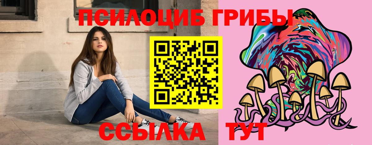 Рузаевка  Галлюциногенные грибы Psilocybine cubensis  Вход с VPN 